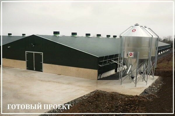 Этапы возведения птицефабрики от завода ВелесТент-хмк